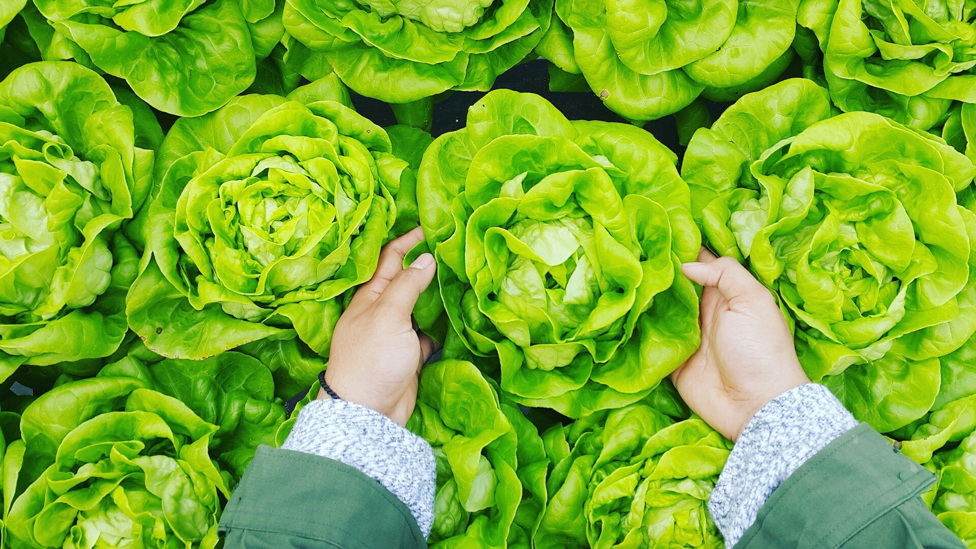 phuc-long-aqrIcYonB-o-unsplash